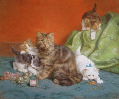 Speelse kittens door Daniel Merlin